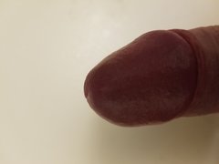 1517118279977472607055.jpg