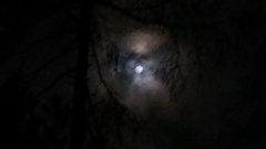 20180130_202845.jpg