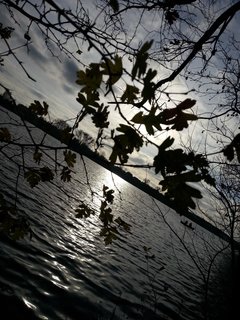 20171112_135919.jpg
