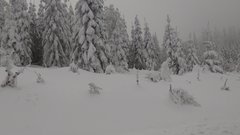 IMG_20180125_144043.jpg