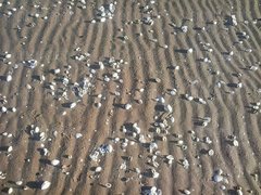 IMG-20180201-WA0001.jpg