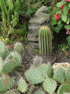 DSC03360.JPG