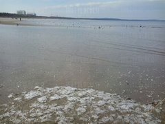 IMG-20180202-WA0001.jpg