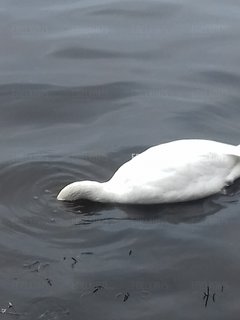 20171104_102717.jpg