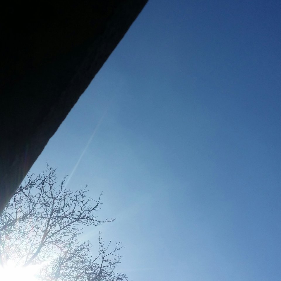 20170324_091745-1.jpg - wiech46