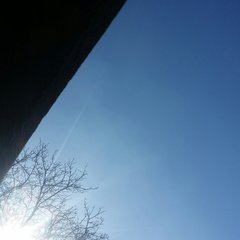 20170324_091745-1.jpg