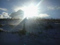IMG-20180205-WA0001.jpg