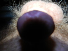 DSCN1305.JPG
