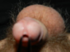 DSCN1338.JPG