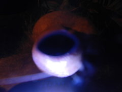 DSCN1346.JPG