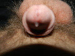 DSCN1311.JPG