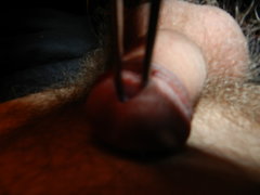 DSCN1340.JPG