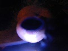 DSCN1345.JPG