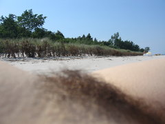 IMG_8437.JPG