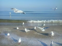 IMG-20180207-WA0001.jpg