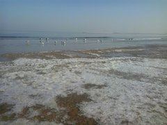 IMG-20180207-WA0000.jpg