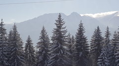 20180206_112118.jpg