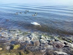 IMG-20180208-WA0000.jpg