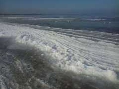 IMG-20180208-WA0001.jpg