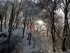 IMG_20180206_142210.jpg