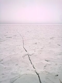 WP_20180210_008.jpg