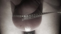 595_1000.jpg