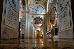 Żabia perspektywa