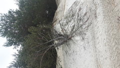 20180218_131045.jpg