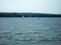 SDC10170.JPG
