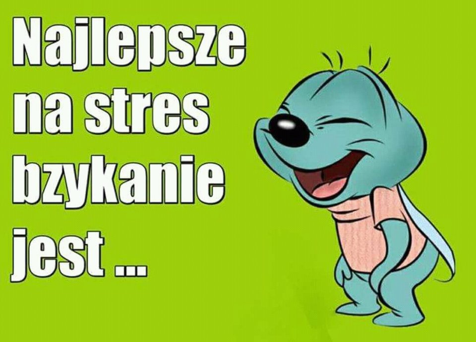 stress - defydefy