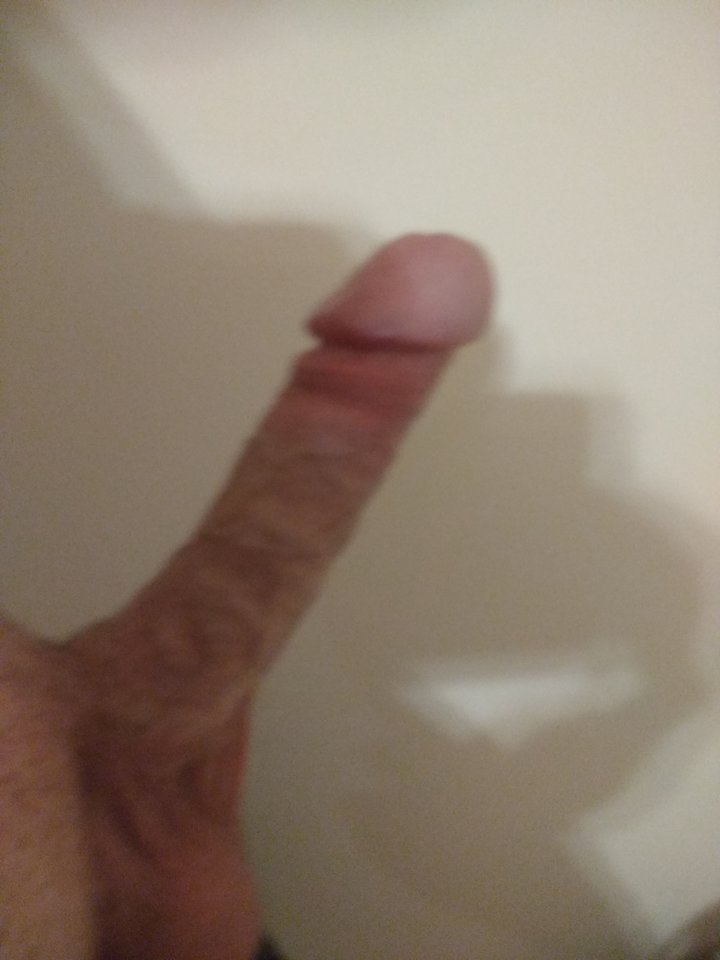 1519243224621236037490.jpg - Sponbl