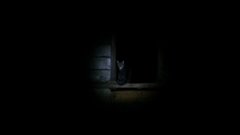 20180203_184250.jpg