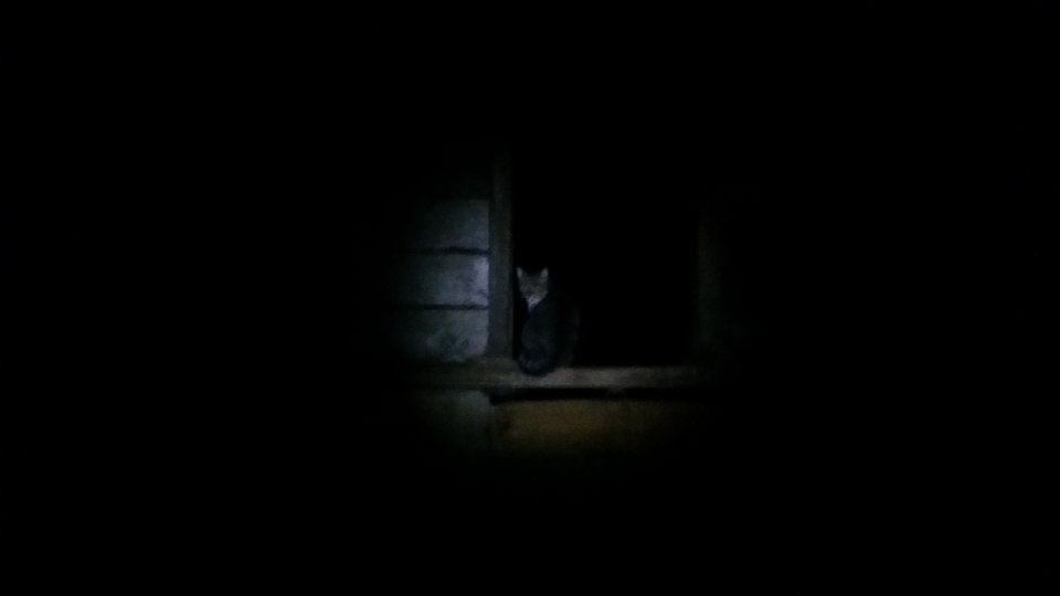 20180203_184250.jpg - pieszimowy