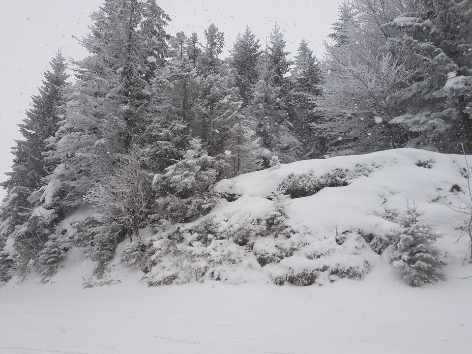 20180224_092232.jpg - BarcaFan22