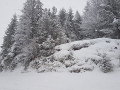 20180224_092232.jpg