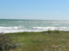 DSCN3536.JPG