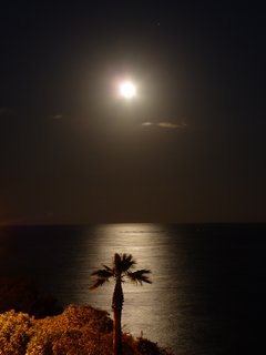 P1110547.JPG