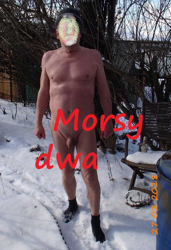 Po kulaniu się w śniegu. - Morsy_dwa