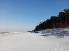 FB_IMG_1519901503821.jpg