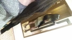 20180302_004750.jpg