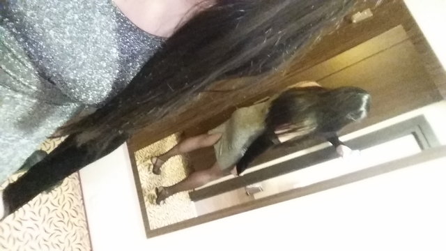 PatrycjaTRANS