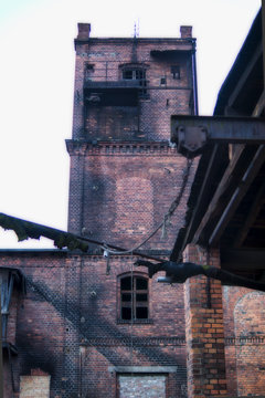 _DSC2444.jpeg