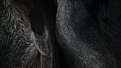 20180303_193956.jpg