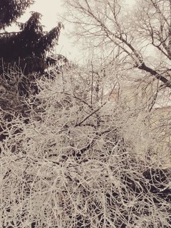 IMG_20180304_123942.jpg