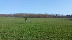 FB_IMG_1520178550551.jpg