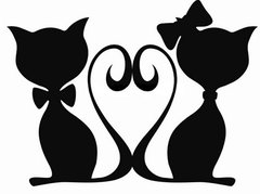 Black Cats.jpg
