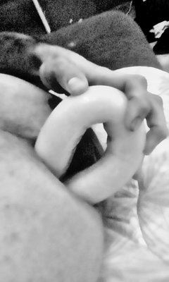 Złap za kolejne dildo i wepchnij je wraz z kutasem