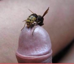 Naturalna metoda powiększenia penisa 🤣🤣🤣🤣