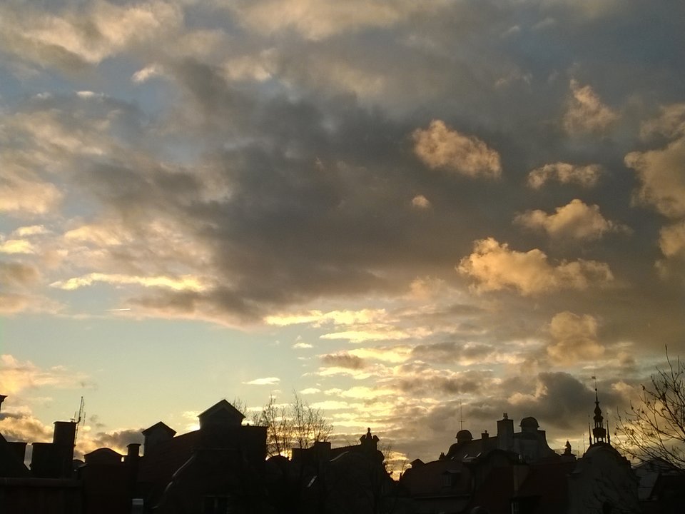 WP_20171212_002.jpg - Ratl