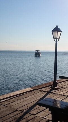 DSC_0335.JPG